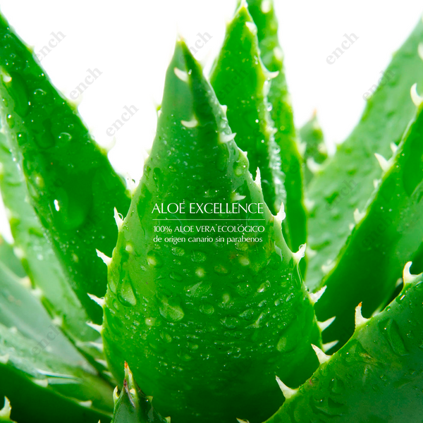 Дезодорант Aloe Excellence, 75 мл. 10521 фото