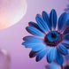 Набор "The Art of Dreaming" Rituals. The Dream Collection 00941 фото 4